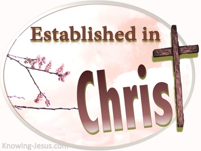 Colossians 2:7 Established In Christ (pink)